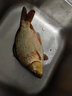 陀螺牌（TOP BRAND）土肥富魚鉤伊豆SM特研釣針有倒刺釣魚鉤競技野釣漁鉤漁具釣魚配件 12號 曬單實(shí)拍圖