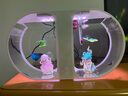 月光水母雙圈專(zhuān)業(yè)水母缸桌面魚(yú)缸水族箱海月赤月中小型水母缸創(chuàng  )意魚(yú)缸 水母缸(空缸) 曬單實(shí)拍圖
