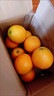 梓樂(lè )果江西贛南臍橙10斤橙子裝新鮮大果應當季水果冰糖甜橙正宗20順豐 10斤 小果60mm-69mm 曬單實(shí)拍圖