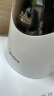 美的（Midea）养生壶 煮茶壶净醇煮茶器 智能蒸汽喷淋式 蒸茶器 烧水壶提壶记忆煮茶壶茶具YS06P501 实拍图