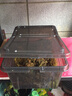 寵以沫（CHONG YIMO）烏龜冬眠用品過冬裝備套裝小房子專用沙土無菌土蛭石苔蘚爬寵墊材 小號盒+3合1冬眠土+苔蘚+噴壺 曬單實拍圖