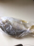 漁吻 金鯧魚(yú)新鮮海捕國產(chǎn)金鯧魚(yú) 深海魚(yú)平魚(yú)鯧魚(yú)鮮活冷凍魚(yú)類(lèi) 【2條】黃金鯧魚(yú)550g/條 曬單實(shí)拍圖