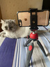 曼富圖（Manfrotto）MCLAMP自拍桿PIXIEVO直播桌面三腳架固定支架通用手機夾 MCLAMP+PIXIEVO桌面腳架 曬單實(shí)拍圖