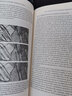 變形鎂合金研究進(jìn)展：加工原理、性能和應(yīng)用（影印版）/國際材料前沿叢書 曬單實拍圖