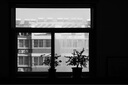 佳能（Canon）EOS RP全畫幅專業(yè)微單相機(jī) 直播學(xué)生專微單反 RP單機(jī)+RF 24-105 STM長焦鏡頭 標(biāo)配+32G卡+相機(jī)包 曬單實(shí)拍圖