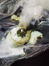 山東微山湖特產(chǎn)臭鴨蛋臭咸鴨蛋黑蛋新鮮臭鴨蛋 臭鴨蛋70g*10個(gè) 曬單實(shí)拍圖