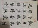 當代實(shí)力派書(shū)家書(shū)心經(jīng)：盧中南書(shū)心經(jīng)（宣紙豪華版） 曬單實(shí)拍圖