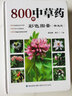 800種中草藥彩色圖鑒（精選版） 曬單實(shí)拍圖