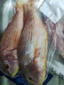 二三王牛 湛江新鮮線魚海鮮水產(chǎn)海釣海魚冷凍紅杉魚鮮活紅三魚金絲魚 超大號(hào)500g(1-3條) 新鮮(3斤裝) 曬單實(shí)拍圖