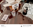 比樂(lè )蒂（Bialetti）MINO2.0手搖磨豆機 摩卡壺專(zhuān)用意式咖啡手動(dòng)七芯研磨便攜咖啡器具 灰色磨豆機+雙閥2杯份+電陶爐 曬單實(shí)拍圖