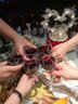 拉斐莊園特選2008法國原酒進口紅酒干紅葡萄酒紅酒排行前十國產紅酒 750ml*2瓶 曬單實拍圖