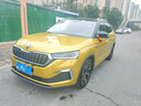 全包圍汽車腳墊斯柯達(dá)明銳 昊銳 速派 晶銳 昕銳 野帝 昕動(dòng) 柯迪亞克 柯珞克 柯米克專用全包圍腳墊 斯柯達(dá)專用【雙層-帶兜】米色+米咖絲圈 曬單實(shí)拍圖