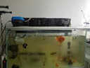 Atman魚缸氧氣泵魚缸增氧機(jī)小型增氧泵加氧泵單雙孔 XP-200氣泵（氣管X2+氣石X2） 曬單實(shí)拍圖