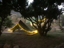 黑鹿（BLACKDEER）棉布帳篷戶外露營(yíng)裝備超大防風(fēng)防暴雨野營(yíng)帳野外多人團(tuán)建蒙古包 樺木白 曬單實(shí)拍圖