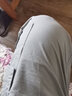 紀(jì)虎（GEVNFOMT）褲子男春季新款純棉寬松休閑褲男士直筒工裝褲闊腿長(zhǎng)褲大碼工作褲 淺灰色 XL 建議(130-145斤) 曬單實(shí)拍圖