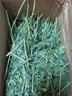 DR BUNNY兔子干草提摩西草提草 紫花苜蓿草 精品烘干牧草小麥草寵物兔子草 烘干紫花苜蓿草凈重500克 曬單實(shí)拍圖