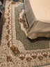 馨采（xincai） 馨采欧式客厅卧室地毯茶几地毯时尚家居卧室床边毯柔软机洗地毯 绿色玫瑰 160*230cm 晒单实拍图