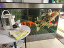 奧芬蘭（ALLFRIEND）魚缸硝化細菌水族箱穩(wěn)定凈化水質(zhì)劑澄清劑淡海水通用錦鯉龍魚專用 錦鯉專用 500ml 一瓶【注：拍2瓶發(fā)3瓶 】 曬單實拍圖