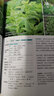 預(yù)售 史上最簡單!精油調(diào)香*經(jīng):日本首席大師教你平衡五大香階 臺版原版 安奈爾斯 大樹林 曬單實拍圖