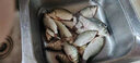 日本原裝進(jìn)口漁鉤 袖 有刺 黑 一包 釣魚(yú)鉤 力丸 日本高端釣具品牌  競(jìng)技比賽 4號(hào)-10枚 曬單實(shí)拍圖