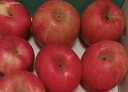 洛川蘋(píng)果【順豐】正宗陜西洛川蘋(píng)果華碩蘋(píng)果當季新鮮生鮮脆甜多汁24枚80mm 曬單實(shí)拍圖