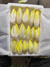 青櫻紅荔新鮮菊苣菜白金玉蘭菜【順豐送貨上門(mén)】芽球軟化蔬菜沙拉酒店食材 1500g【實(shí)惠裝】 曬單實(shí)拍圖