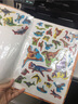 小笨熊 恐龍星球貼紙書(shū)最強掠食者(附貼紙1套) 曬單實(shí)拍圖