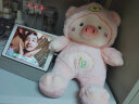 田兔可爱小猪公仔玩偶布娃娃毛绒玩具猪猪床上抱着睡觉抱枕超萌生日礼物女生 粉红色 45厘米 实拍图