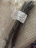 力廚煙熏豬大腸 湖南特產(chǎn)臘味 柴火煙熏臘腸 臘豬腸子臘肥腸 臘豬小腸 約500g 曬單實拍圖