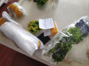 二月花魚(yú)缸造景套餐全套假山擺件一整套仿真水草植物景觀水族箱布景沙石 35-E09造景套餐 不含魚(yú)缸 曬單實(shí)拍圖
