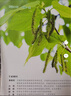 牧狼人【包郵】小聰仔科普版雜志2025年1-12月（2026全年/半年訂閱/2024/2023年1-12月/幼兒版啟蒙版可選）0-4-8歲嬰兒幼兒興趣智力培養兒童科普畫(huà)報非過(guò)刊 【全年訂閱送禮品】科普 曬單實(shí)拍圖