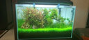 歐亞瑟外置過濾桶德國進(jìn)口魚缸過濾器過濾設(shè)備水族箱草缸烏龜缸凈水器 M250(不帶加熱棒)+9W殺菌燈 曬單實拍圖