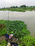 釣嗨尼魚(yú)線(xiàn)主線(xiàn)魚(yú)線(xiàn)德國尼龍線(xiàn)100米超強拉力釣魚(yú)線(xiàn)臺釣線(xiàn)海竿路亞魚(yú)線(xiàn) 青龍主線(xiàn)100米6.0# 曬單實(shí)拍圖