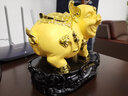 聚善緣 金豬擺件福運(yùn)如虹豬年吉祥物擺件 十二生肖豬擺件創(chuàng)意實(shí)用 家居客廳酒柜裝飾品 店鋪開業(yè)送禮 福運(yùn)如虹豬22*16*21厘米 曬單實(shí)拍圖