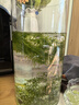 凡佰酷圓柱形魚缸圓形超白玻璃魚缸立體小型直筒魚缸家用客廳落地金魚缸-定制 直徑20cm 高40cm 透亮一體魚缸 曬單實拍圖