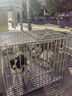 金格羽狗籠子大型犬中型犬薩摩耶金毛拉布拉多邊牧狗狗帶廁所狗籠l-大型 黑色--加粗鋼絲款(適合溫順犬) 長(cháng)78寬54高72cm(適合小型犬) 曬單實(shí)拍圖