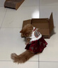 阿莫爾貓咪衣服秋冬保暖披風(fēng)毛毯斗篷小型犬德文布偶貓睡袍狗狗被子披肩 紫色【披風(fēng)毛毯兩用】 S 建議6斤內  具體看尺碼 曬單實(shí)拍圖