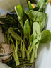皓謙安徽廬江農家白菜苔新鮮現(xiàn)摘現(xiàn)發(fā)菜心菜薹臺綠色脆嫩應季蔬菜特產 2500g 曬單實拍圖