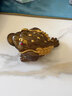 刻羽茶寵擺件金蟾精品可養變色茶具配件茶桌茶盤(pán)茶道金蟬招財茶臺蟾蜍 七星金蟾-金色【升級實(shí)心】 曬單實(shí)拍圖
