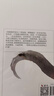 明朝那些事兒1234567二三四五六七部 2020版 當(dāng)年明月 中小學(xué)生歷史知識讀物小說通俗說史 第六部 日暮西山 曬單實(shí)拍圖