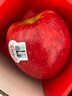 優(yōu)味集愛(ài)妃蘋(píng)果【京東直送】進(jìn)口水果整箱紅蘋(píng)果孕婦生鮮年貨禮品送禮 1枚嘗鮮 嚴選商超果170g+ 曬單實(shí)拍圖