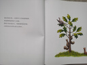 點(diǎn)讀版 小樹的四季 海豚繪本花園硬殼精裝 兒童繪本3-6歲0-2歲經(jīng)典故事4-6歲幼兒園推薦童書故事書 支持老版小猴皮皮點(diǎn)讀筆 曬單實(shí)拍圖