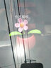 可愛(ài)搖擺太陽(yáng)花汽車(chē)裝飾品儀表臺擺件小車(chē)用太陽(yáng)能蘋(píng)果花 太陽(yáng)花大紅 曬單實(shí)拍圖