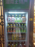 樂創(chuàng)（lecon）展示柜冷藏飲料展示柜商用啤酒柜水果保鮮柜冰柜甜品冷柜商場便利店鮮花陳列柜 300升單門【下機(jī)組】-白綠色 直冷 曬單實(shí)拍圖