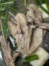 甘肅民勤羊肉 正宗農(nóng)家散養(yǎng)生鮮原切現(xiàn)殺羊排羊蝎子羊腿全羊火鍋 3斤羔羊排 曬單實拍圖