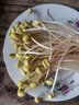 有機匯 豆芽菜 新鮮黃豆芽 新鮮蔬菜 孕產(chǎn)食材 產(chǎn)地直發(fā) 500g 曬單實(shí)拍圖