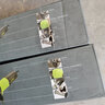PIGEON鴿牌磨光機(jī)G9-100A角磨機(jī)900W磨光機(jī)切割磨光用家用鴿牌電動(dòng)工具 官方標(biāo)配 曬單實(shí)拍圖