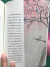 鳥的天堂（暖心美讀書：名師導(dǎo)讀美繪版） 曬單實拍圖
