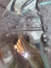 森淵便攜式大小型養魚(yú)缸圓形魚(yú)缸過(guò)濾器增氧氣泵制氧打氧泵usb迷你 黑色單管小氣量 曬單實(shí)拍圖