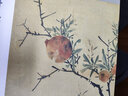 出類藝術(shù)小品集·宋人花鳥I（32幀宋人花鳥經(jīng)典藝術(shù)小品，內(nèi)贈藏書票） 曬單實拍圖